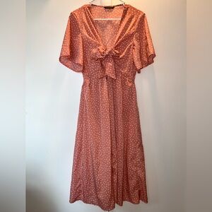 Polka Dot Rust Dress